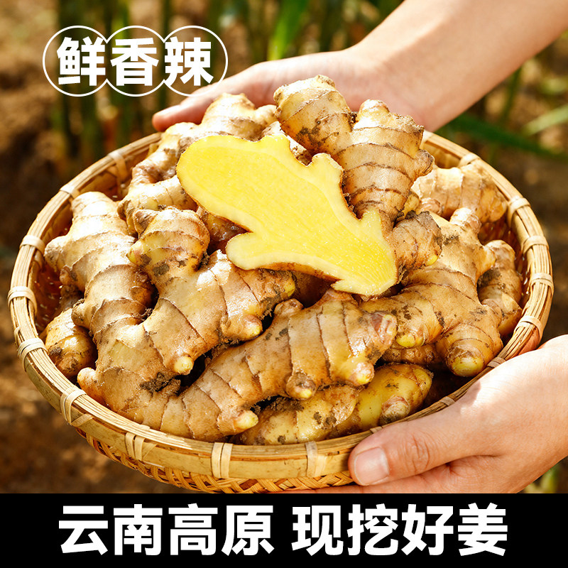 5斤云南罗平小黄姜新姜嫩姜生姜农家新鲜现挖老姜辛辣土姜月子姜