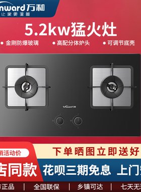 Vanward/万和 JZT-Q2L06/Q3L16嵌入式燃气灶尺寸可调节5.2KW火力