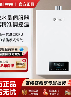 林内智能恒温恒温16升强排式