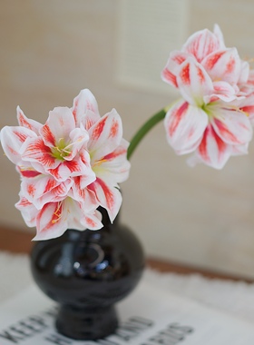 COSA高级感朱顶红孤挺花仿真花仿生花假花客厅家居装饰软装