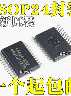 全新原装RN8209DCS5460CS5460ABSZRN8209GSSOP24