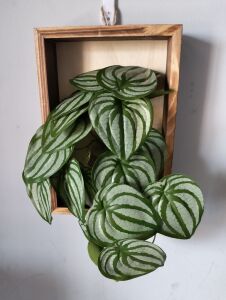 北欧风格小清新客厅长方形木制花瓶壁饰仿真花墙面装饰高级感可挂