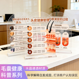 护发店专用头皮白发亚克力组合毛囊健康管理医患沟通教学三件套摆