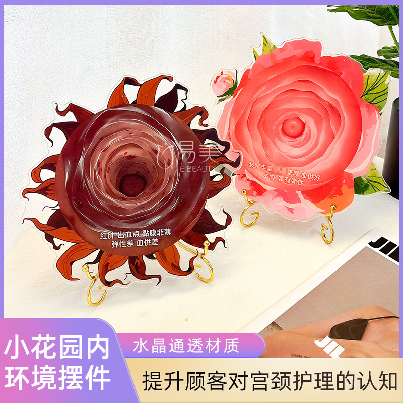 美容院话题摆件宫颈V密花园内环境V密接待模型亚克力医患沟通咨询