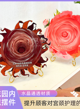 美容院话题摆件宫颈V密花园内环境V密接待模型亚克力医患沟通咨询