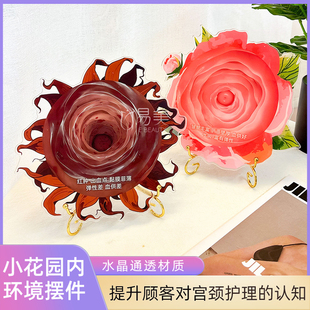 美容院话题摆件宫颈V密花园内环境V密接待模型亚克力医患沟通咨询