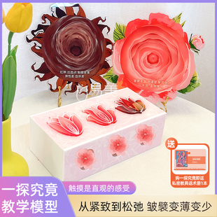 一探究竟教学触感模型艺术指尖蜜境灵魂通道产康美容院摆件拓客