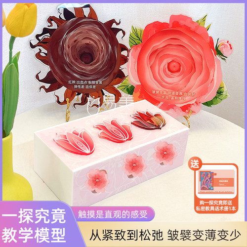 私密触感模型美容院摆件一探究竟