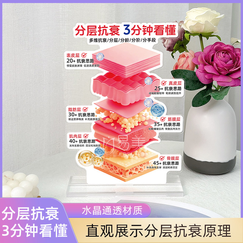 分层抗衰展示亚克力摆件美容院面诊工具分龄抗衰科普陈列道具引流