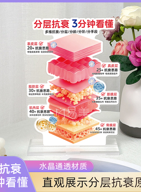 分层抗衰展示亚克力摆件美容院面诊工具分龄抗衰科普陈列道具引流