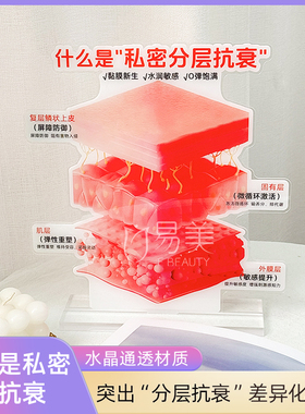亚克力私密分层抗衰摆件复层鳞状上皮屏障防御弹性重塑展示模型牌