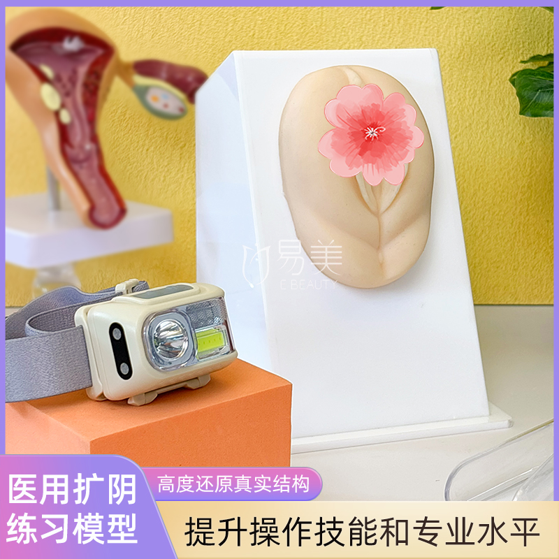 多功能妇科检查模型硅胶扩阴练习工具美容院员工培训新员工入职培