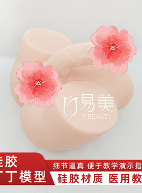 男性仿真硅胶模型丁丁医学解剖