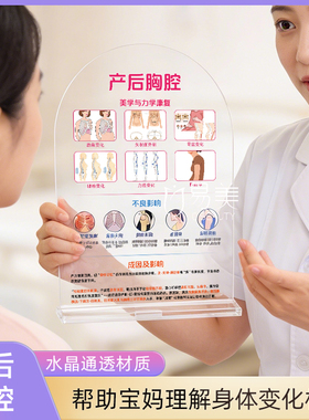 产后胸腔管理科普摆台亚克力医学图解母婴健康科普教具产康美学图