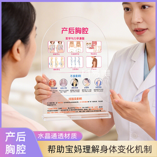 产后胸腔管理科普摆台亚克力医学图解母婴健康科普教具产康美学图