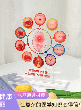 卡通宫颈健康图美容院科普宫颈知识亚克力摆件科普知识产康店