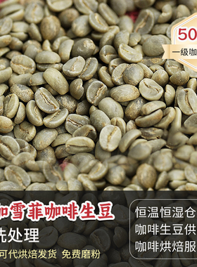 耶加雪菲孔加G1咖啡生豆水洗可定制烘焙 2024新产季埃塞生豆 500g