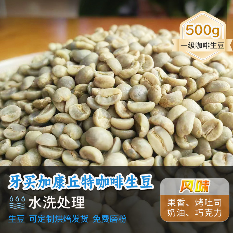 牙买加康丘特庄园蓝山1号水洗定制烘焙新产季精品咖啡生豆500g