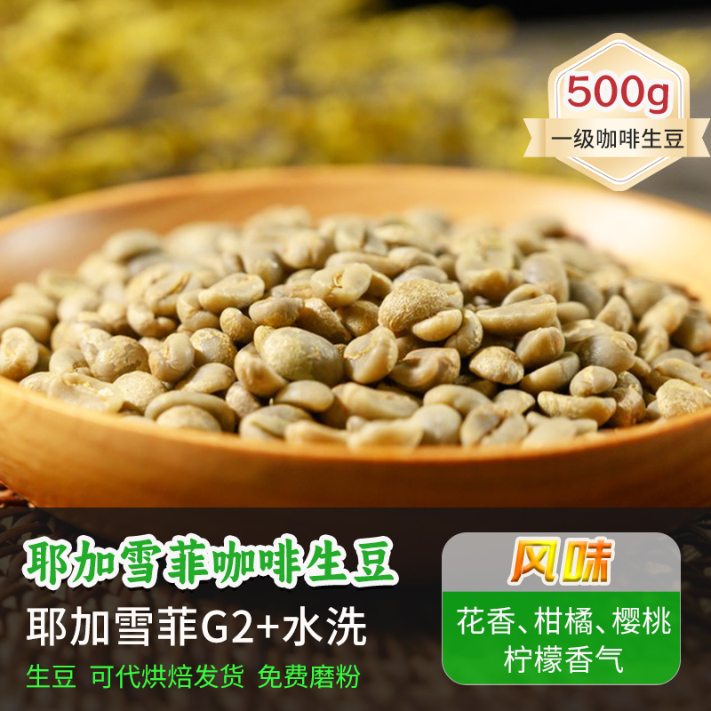 耶加雪菲G2+水洗咖啡生豆特浓可定制烘焙2024新产季埃塞生豆 500g
