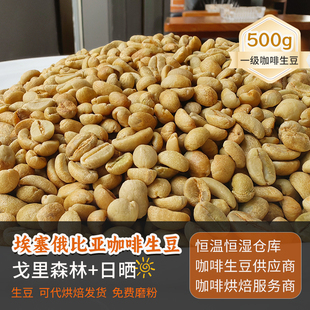 埃塞戈里森林庄园瑰夏日晒咖啡生豆定制烘焙2024新产季生豆 500g