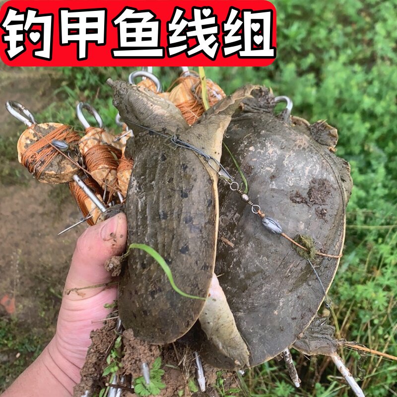 全套甲鱼钩线组钓鳗鱼钩套装夜钓黑鱼钩昂刺鱼钩双钩单钩水库池塘