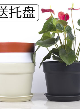 陶瓷树脂欧式风果树植物盆陶土盆