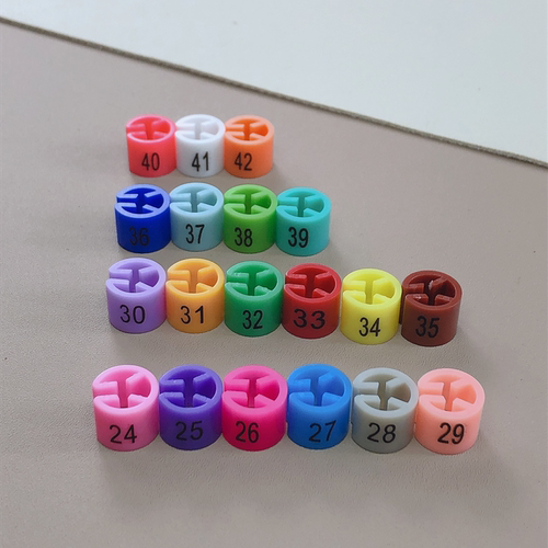 彩色服装尺码扣印二面24-40