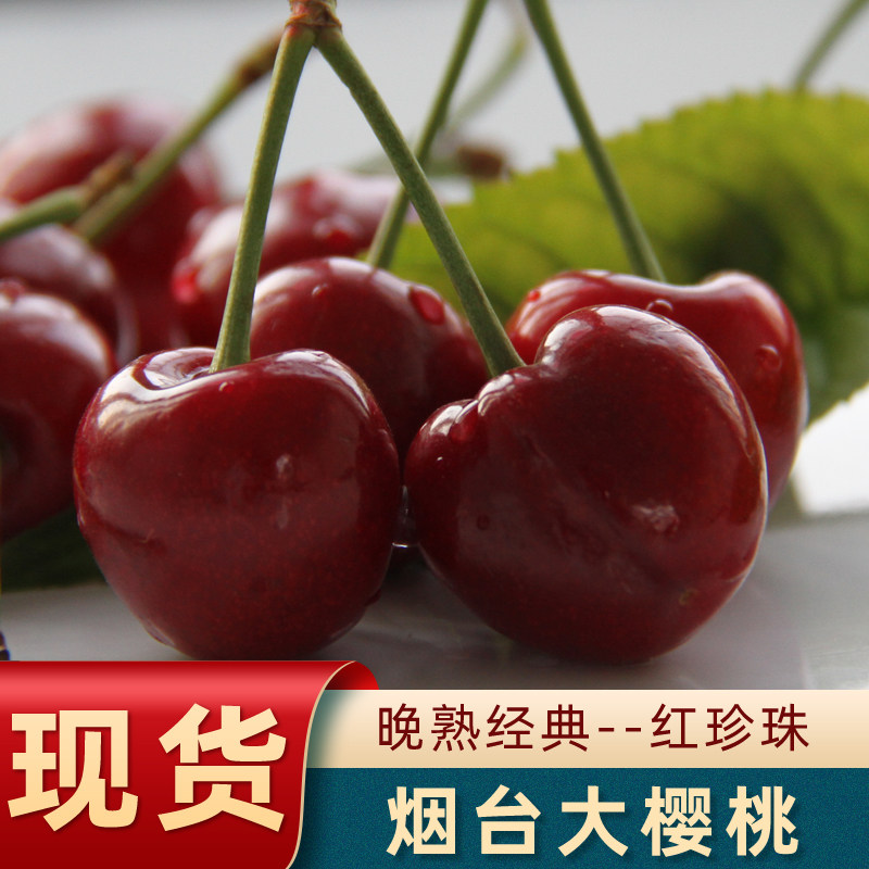 万丰果蔬脆甜大樱桃五斤