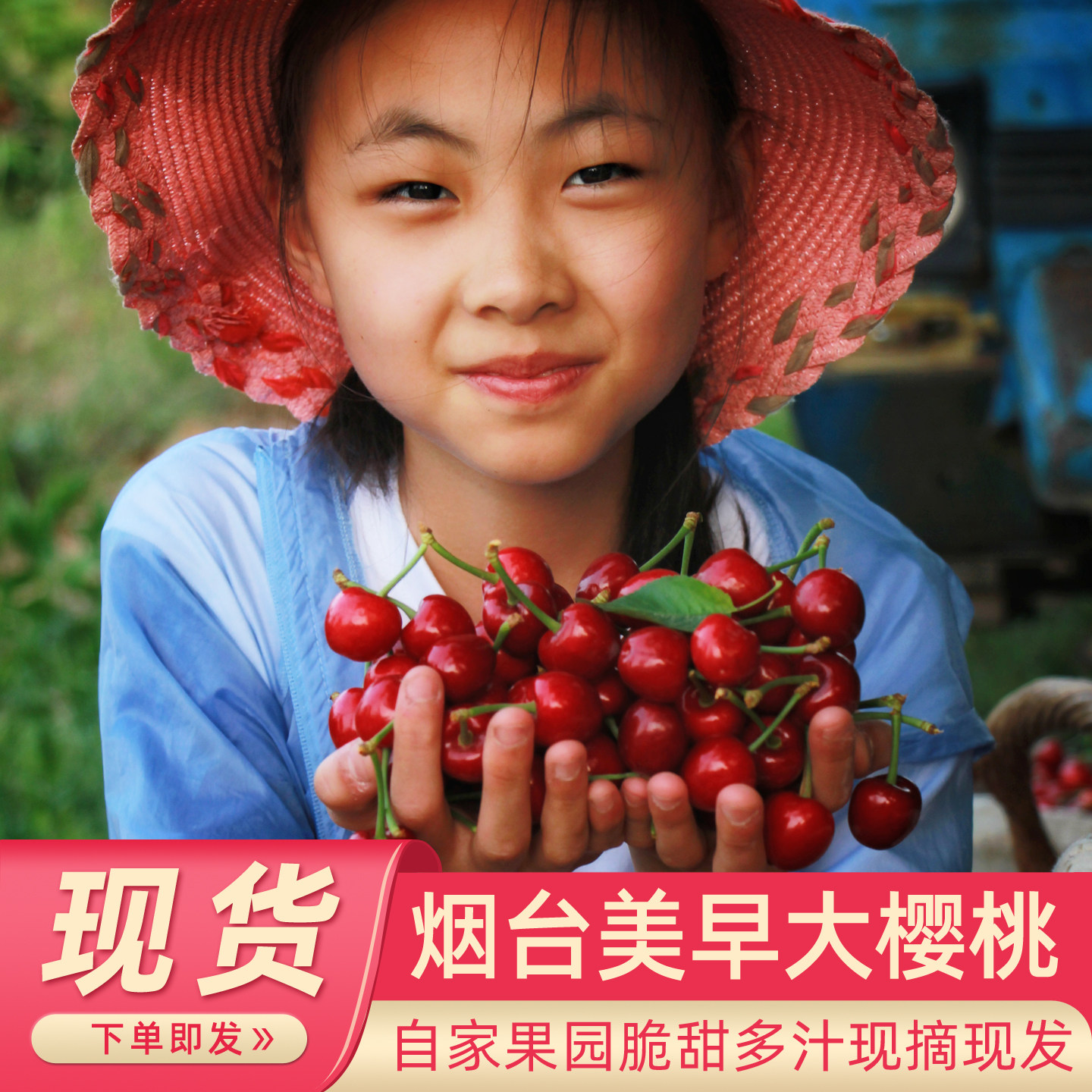 正宗烟台美早大樱桃车厘子脆甜