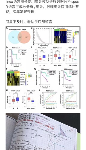 python编程spss数据分析stata实证eviews统计amos问卷meta分析R