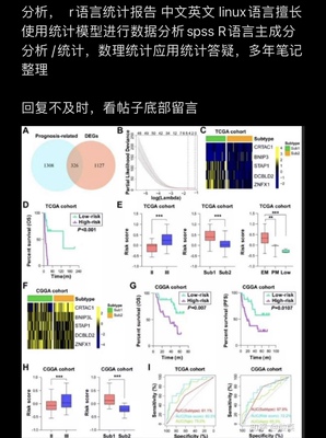 个人R语言数据分析统计逻辑回归python计量r代码 人工降ai重复率