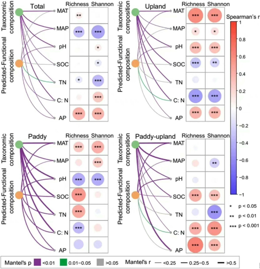 个人】r语言data统计数学assignment数据分析机器学习report做英