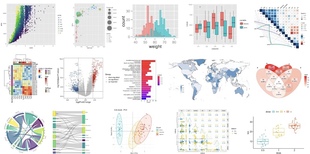 个人】r语言统计数理线性回归报告实证时间序列分析代码可视化