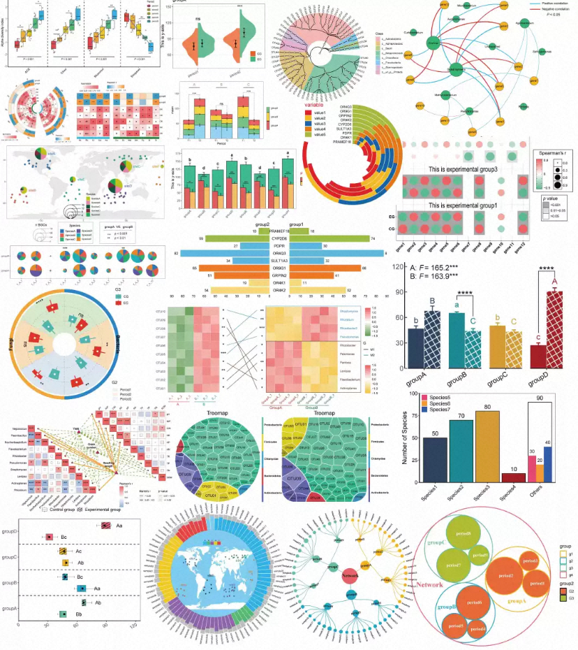 个人】r语言画图生物信息绘图报告统计数据分析热图医学报告圈图