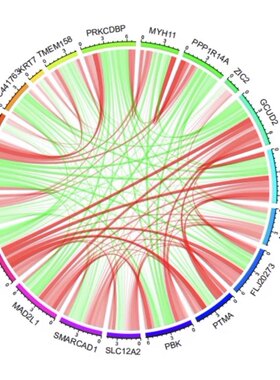 个人】r语言生信分析985生物信息作图生存分析代码医学实证报告