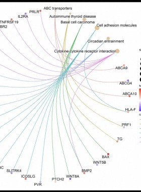 个人r语言统计Stata实证分析三线表显著性调整OLS随机效应模型