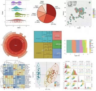 essay留学生辅导文书作金融教育商科业传媒统计数学report英文语