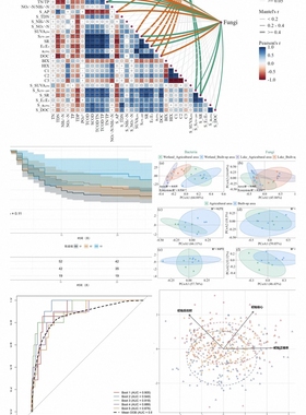 数据分析做spss数据分析stata实证R语言医学统计python代编程