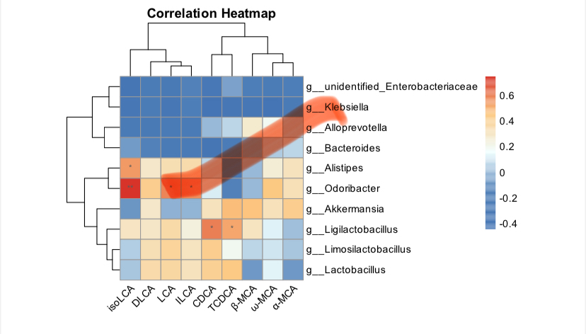 个人】spss留学生r语言统计数据问卷分析贝叶斯SAS回归画图IPA