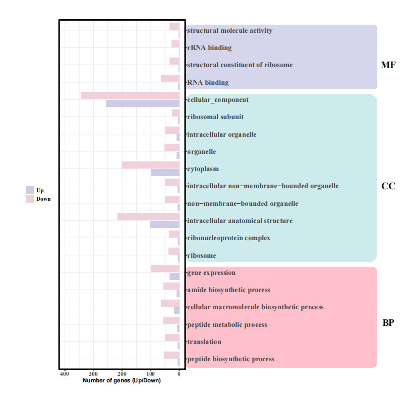 个人】sas统计留学生r语言统计贝叶斯/Spss数据挖掘分析回归stata