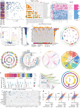个人】留学生r语言作图统计贝叶斯SAS/Spss数据挖掘分析回归stata