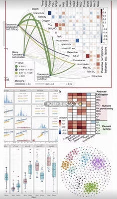 SPSS数据分析Eviews实证分析stata检验R语言SAS统计金融医学指导