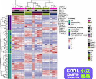 R语言画图统计代码主成分析report回归分析深度学习留学生roc