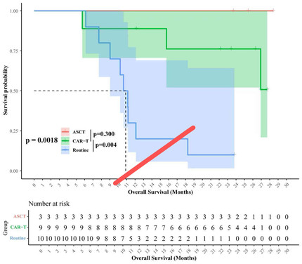 留学生sas编程rstudio码写stata分析r语言报告spss统计python
