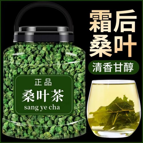 霜后桑叶茶正品500g罐装