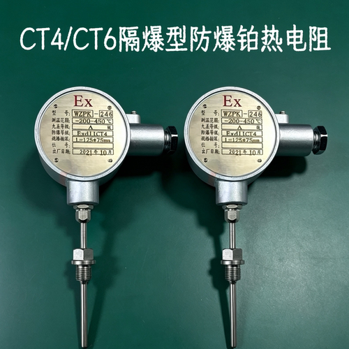 EX隔爆型扁防爆铂热电阻 SBWZP-246SA 三线制 PT100 EXdbIICT6Gb