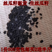 丝瓜子新货黑丝瓜子饱满生丝瓜子丝瓜籽可发芽500克老丝瓜籽发芽
