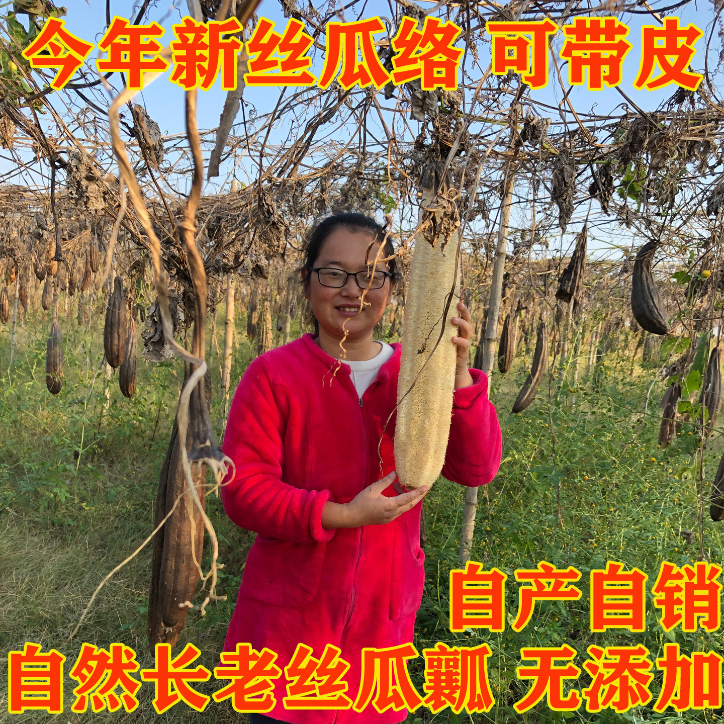 丝瓜络天然农家老丝瓜瓤带壳水瓜布去污厨房清洁洗碗不沾油丝瓜囊