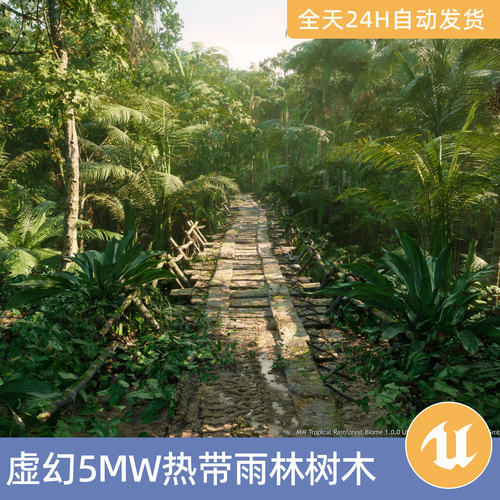 UE5虚幻5素材模型场景资产环境MW热带雨林树木生物群落森林植物蕨