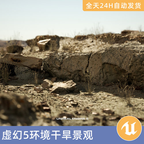 UE5虚幻5素材模型地编环境场景资产模块化干旱景观沙漠石头草植物